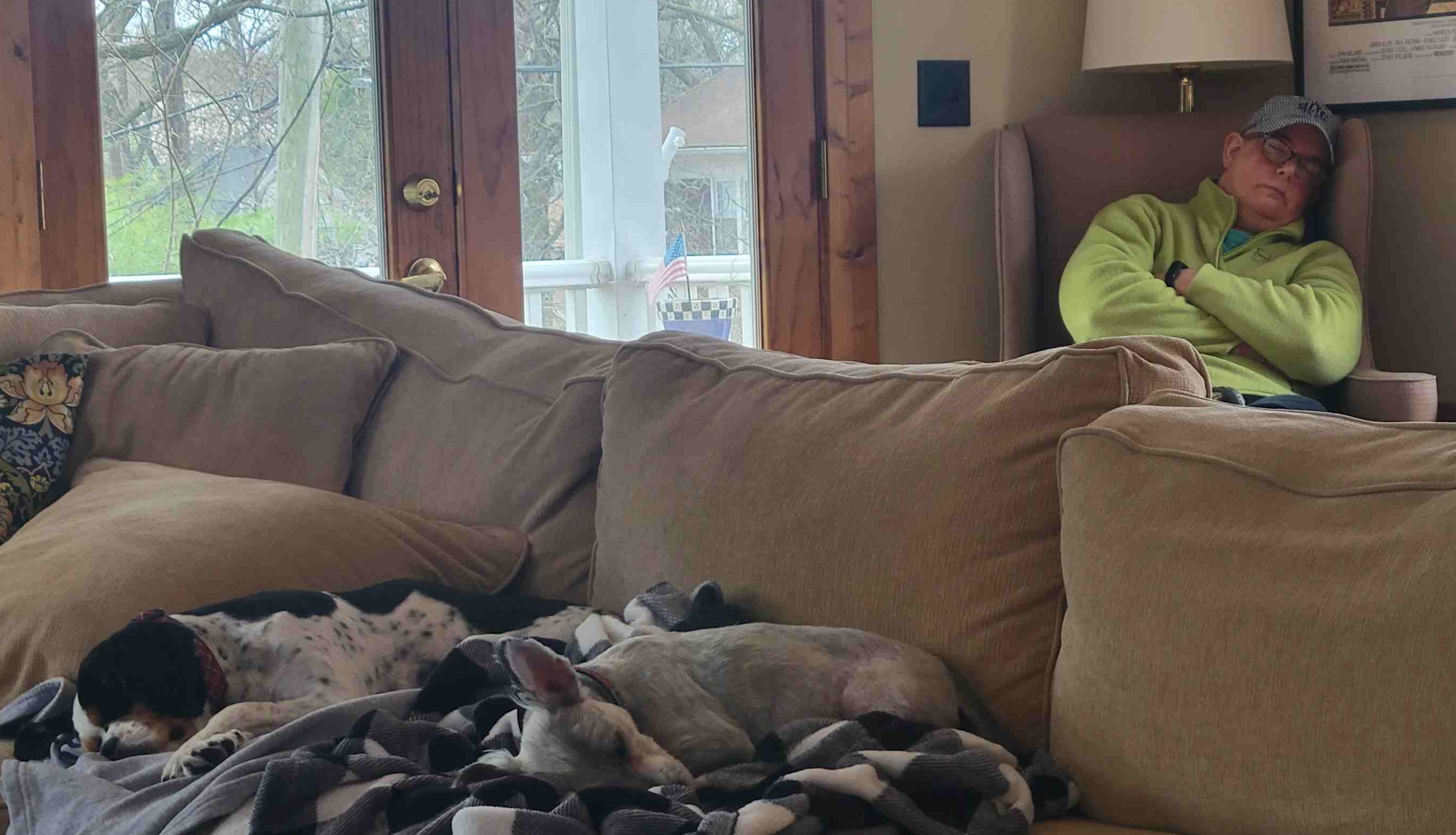 2023-03-26 Spring naps.jpg
